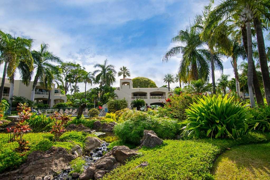 Palms At Wailea Wailea (Maui) Exterior foto