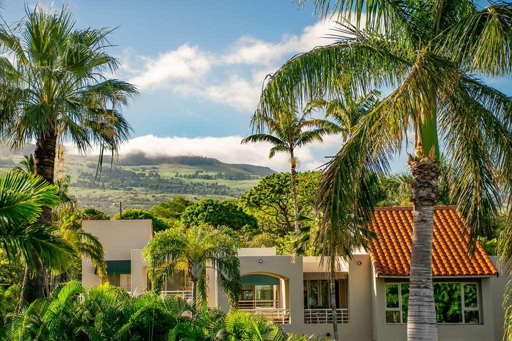 Palms At Wailea Wailea (Maui) Exterior foto