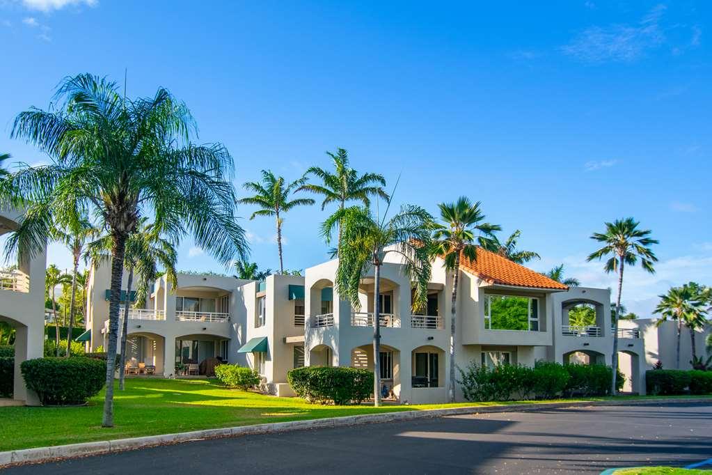 Palms At Wailea Wailea (Maui) Exterior foto